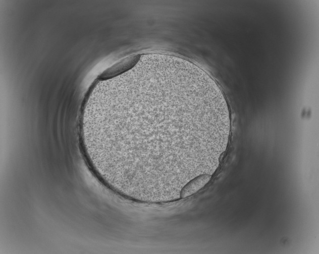 X0000112470007200909281057