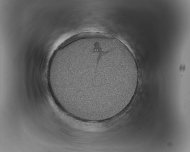 X0000112470008200909281057