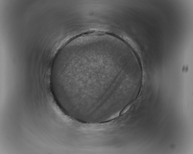 X0000112470009200909281057