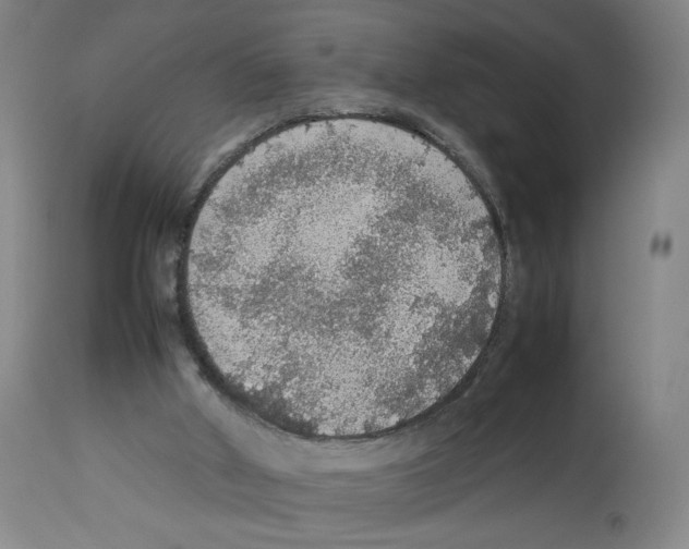 X0000112470010200909281057