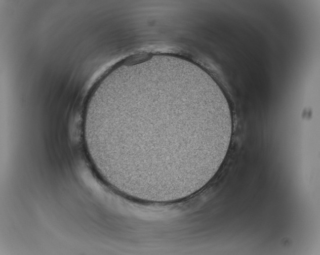 X0000112470012200909281057