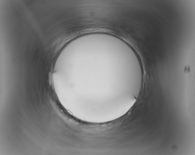 X0000112470013200909281057