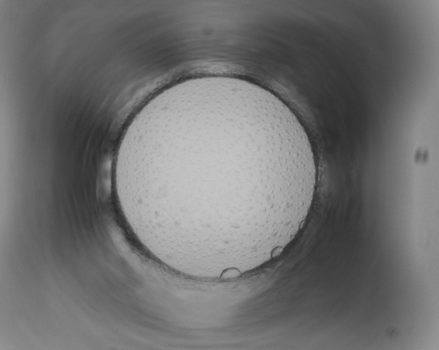 X0000112470014200909281057