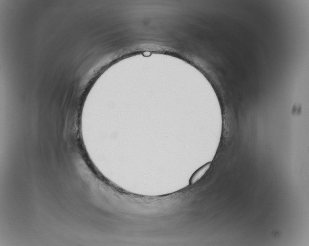 X0000112470015200909281056