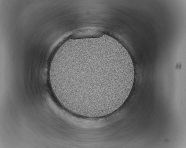 X0000112470016200909281056