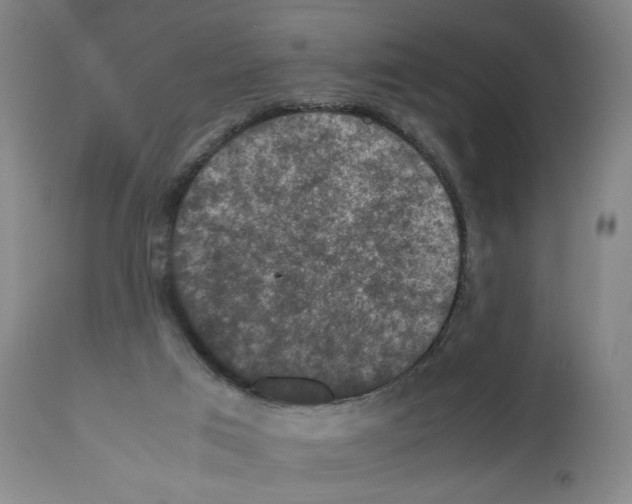 X0000112470017200909281056
