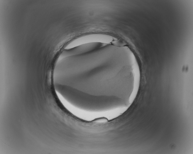 X0000112470019200909281056