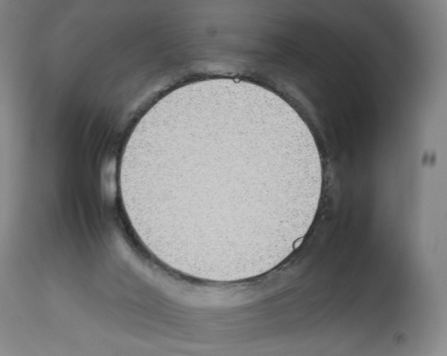 X0000112470020200909281056