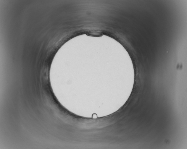 X0000112470021200909281056