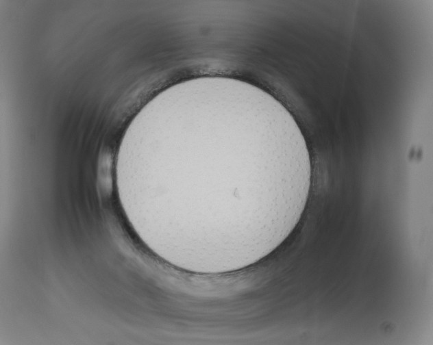 X0000112470022200909281056