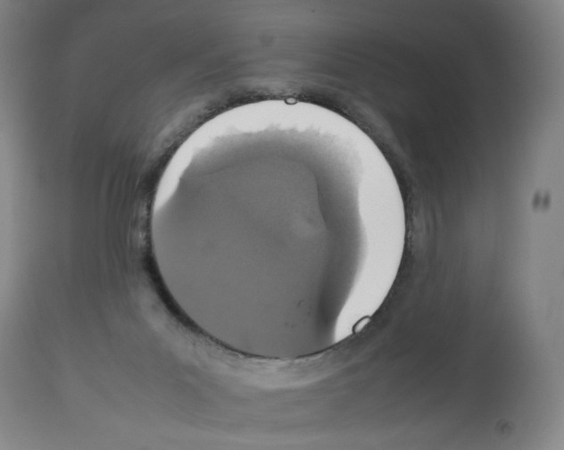 X0000112470023200909281056