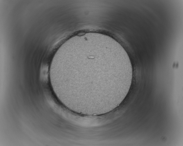 X0000112470024200909281056