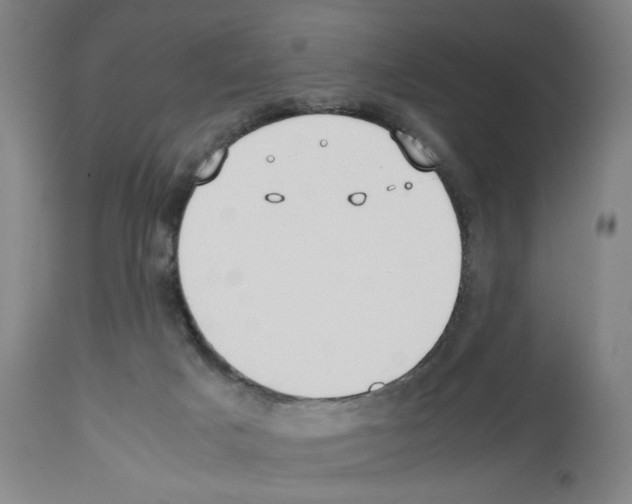 X0000112470025200909281056