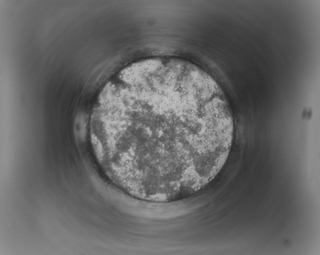 X0000112470026200909281056