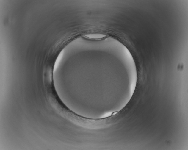 X0000112470027200909281056