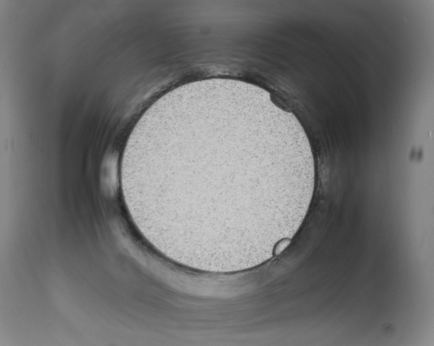X0000112470028200909281056