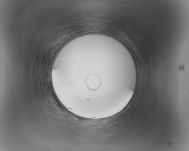 X0000112470029200909281056