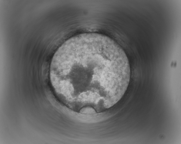 X0000112470030200909281056