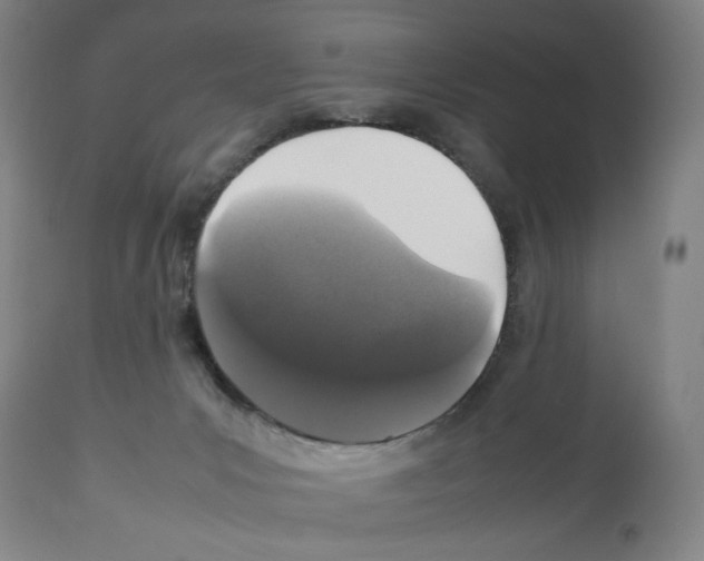 X0000112470031200909281056