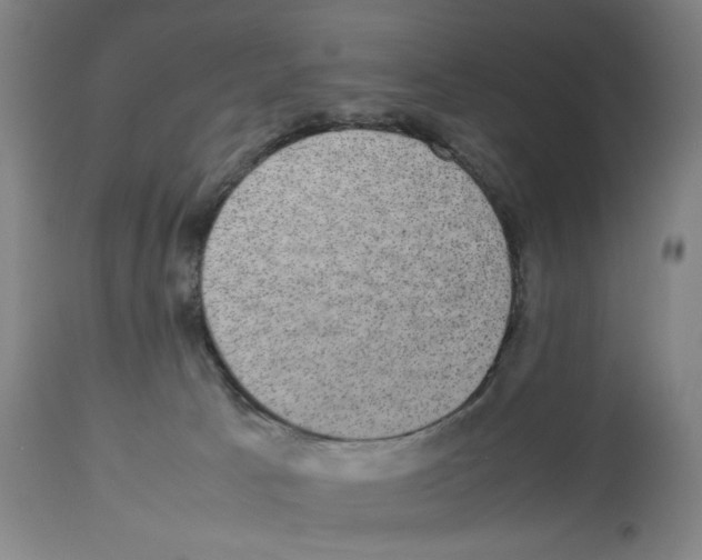 X0000112470033200909281056