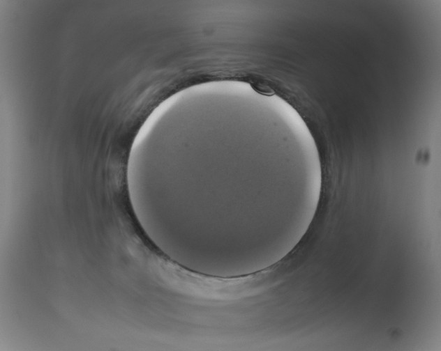 X0000112470035200909281056