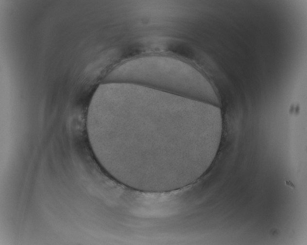 X0000112470037200909281056