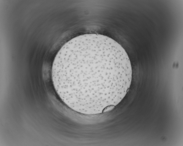 X0000112470038200909281056