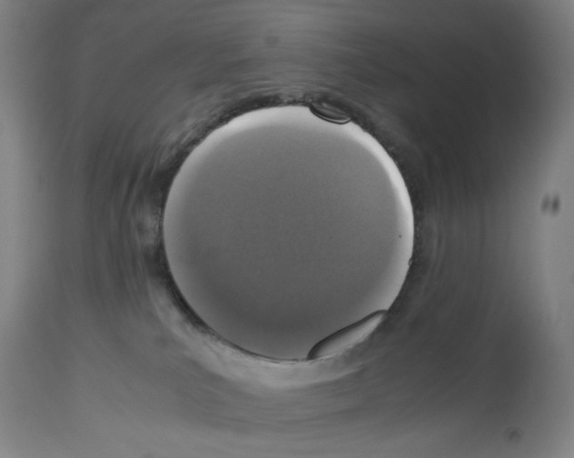 X0000112470039200909281056