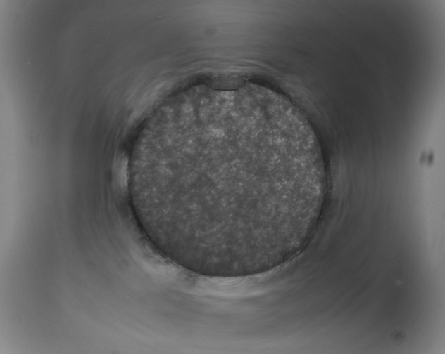 X0000112470041200909281056