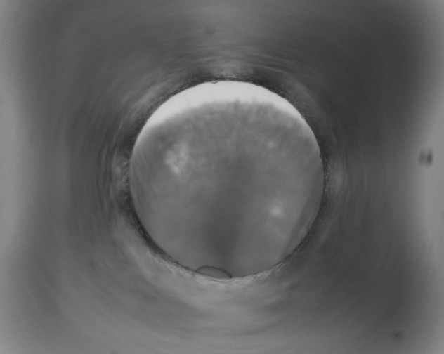 X0000112470043200909281056