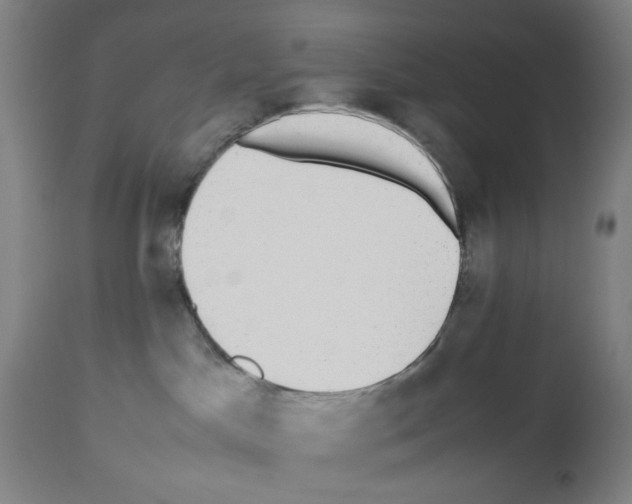 X0000112470045200909281056