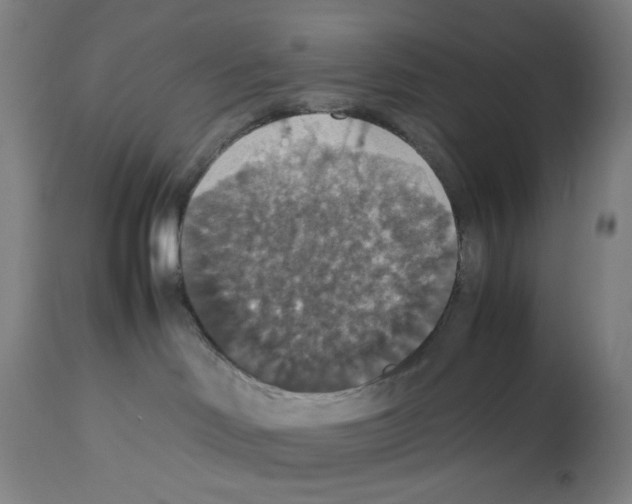 X0000112470046200909281056