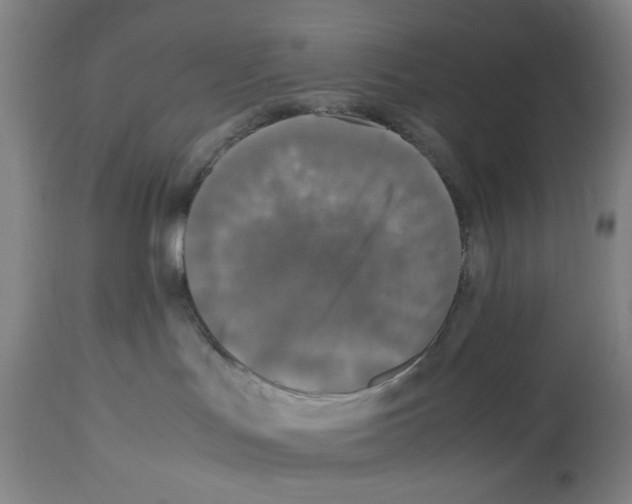 X0000112470047200909281056