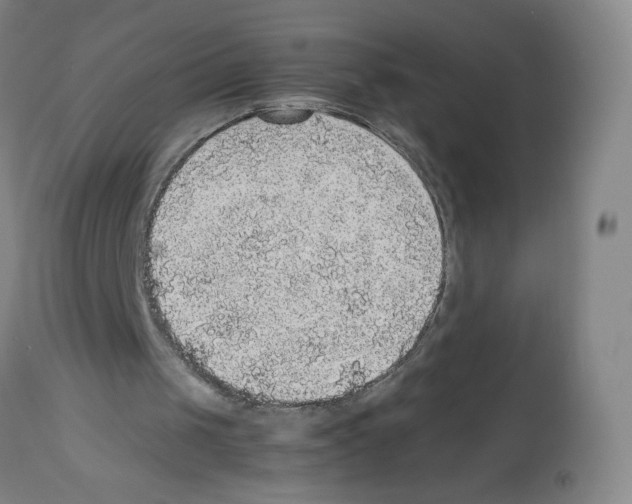 X0000112470049200909281055