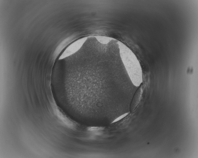 X0000112470051200909281055