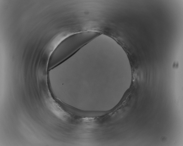 X0000112470052200909281055