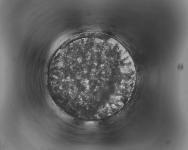 X0000112470053200909281055