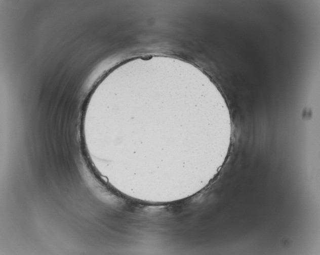 X0000112470054200909281055