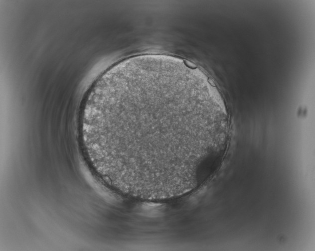 X0000112470055200909281055