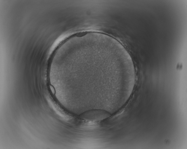 X0000112470056200909281055