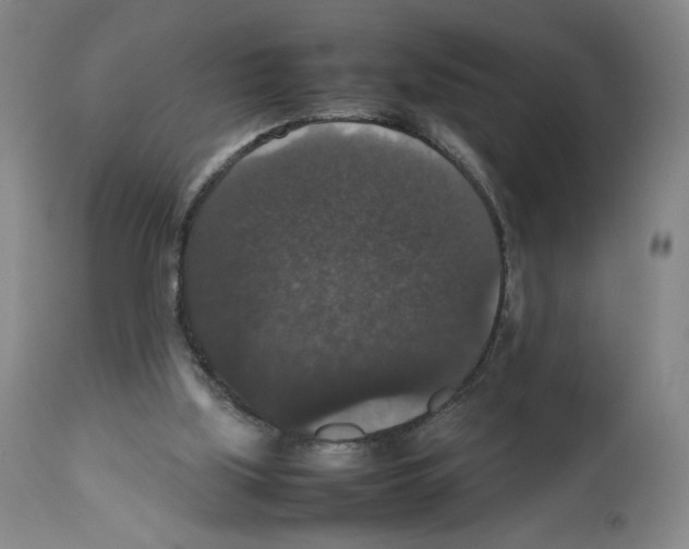 X0000112470059200909281055