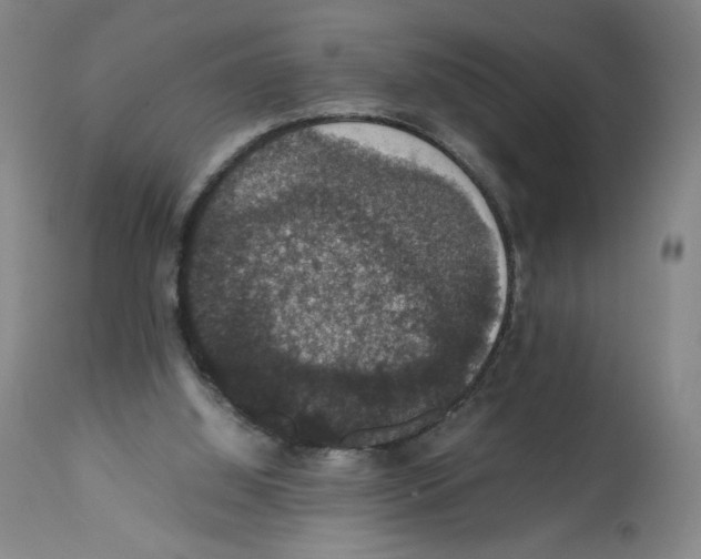 X0000112470060200909281055