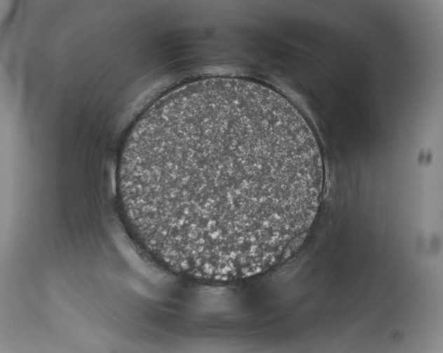 X0000112470061200909281055