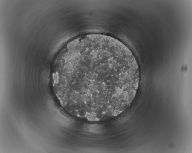X0000112470063200909281055