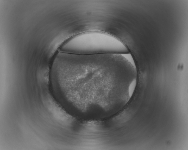 X0000112470064200909281056