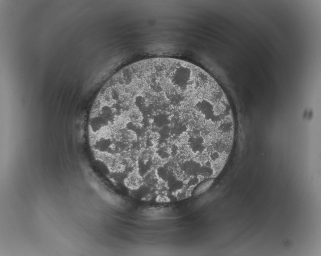 X0000112470065200909281056