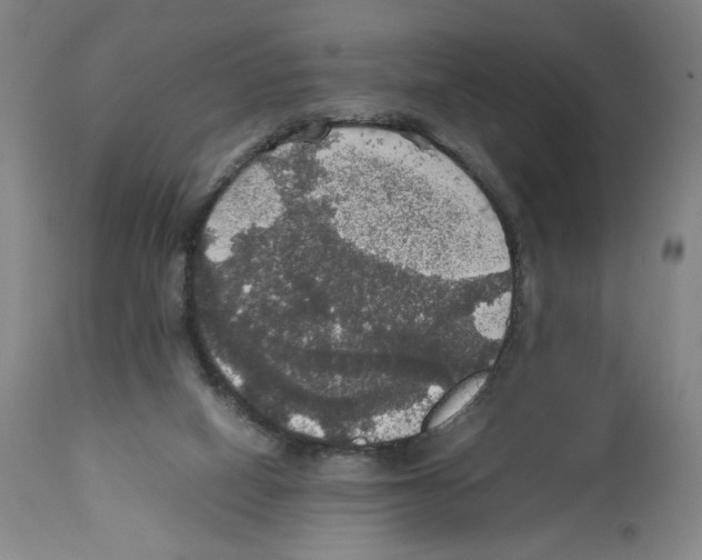 X0000112470066200909281056