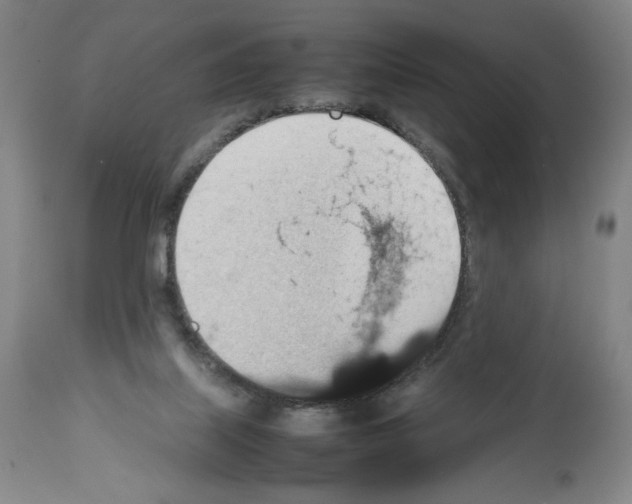 X0000112470067200909281056