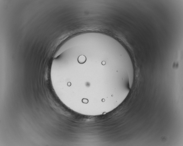 X0000112470068200909281056