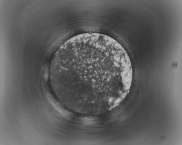 X0000112470069200909281056